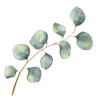 Eucalyptus_silver dollar_one branch copy - Laura Nadine Photography